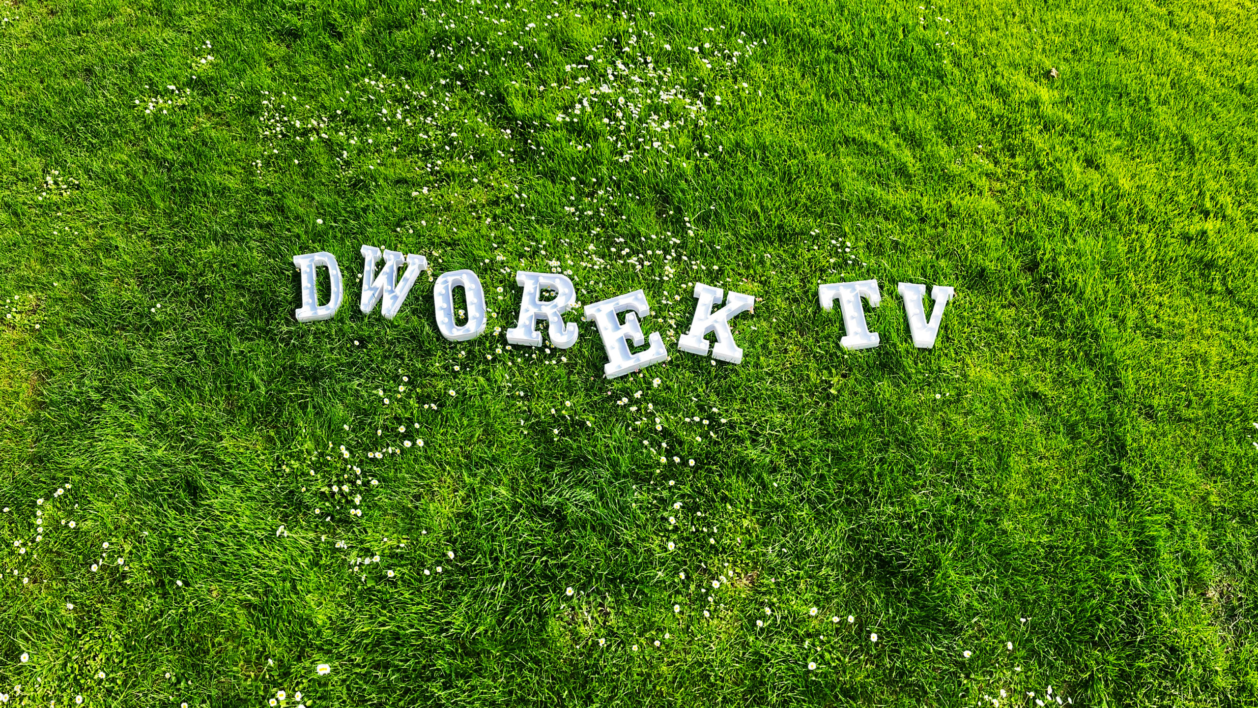CZERWCOWE PREMIERY W DWOREK TV