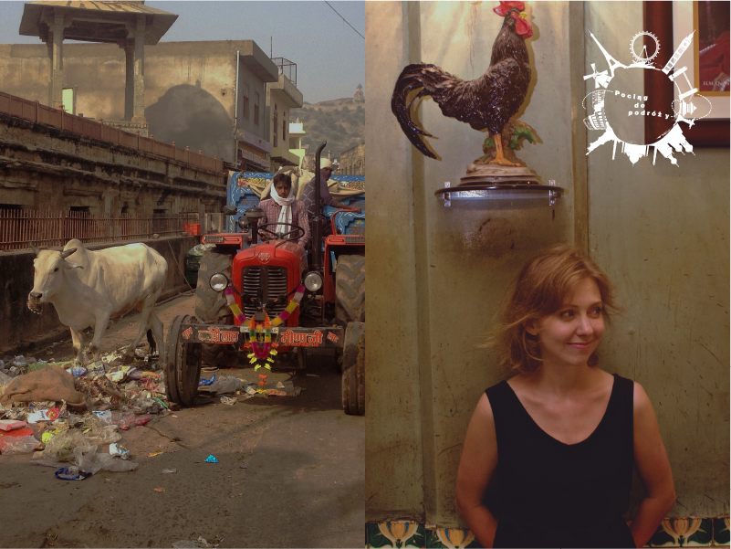Jaśmin i zdechła ryba, czyli rok w Bombaju | Pociąg do podróży