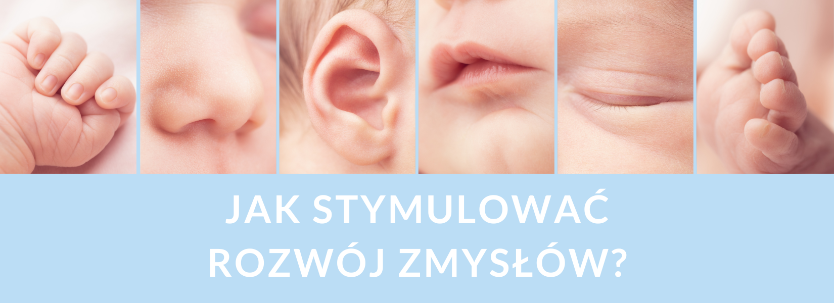 Jak stymulować rozwój zmysłów u niemowląt i małych dzieci?
