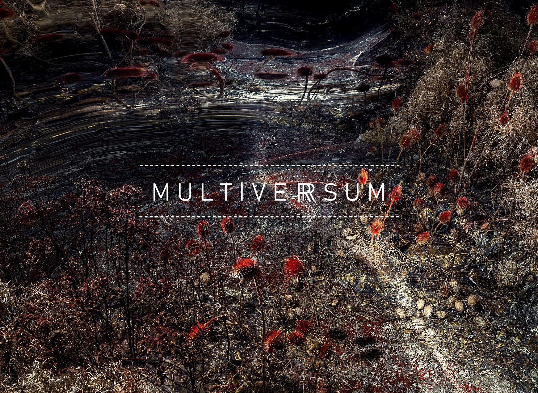 Multiversum | Wernisaż wystawy Agnieszki Jaworskiej