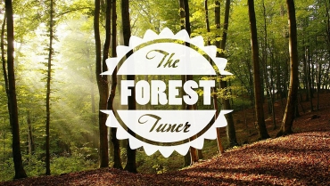 The Forest Tuner
