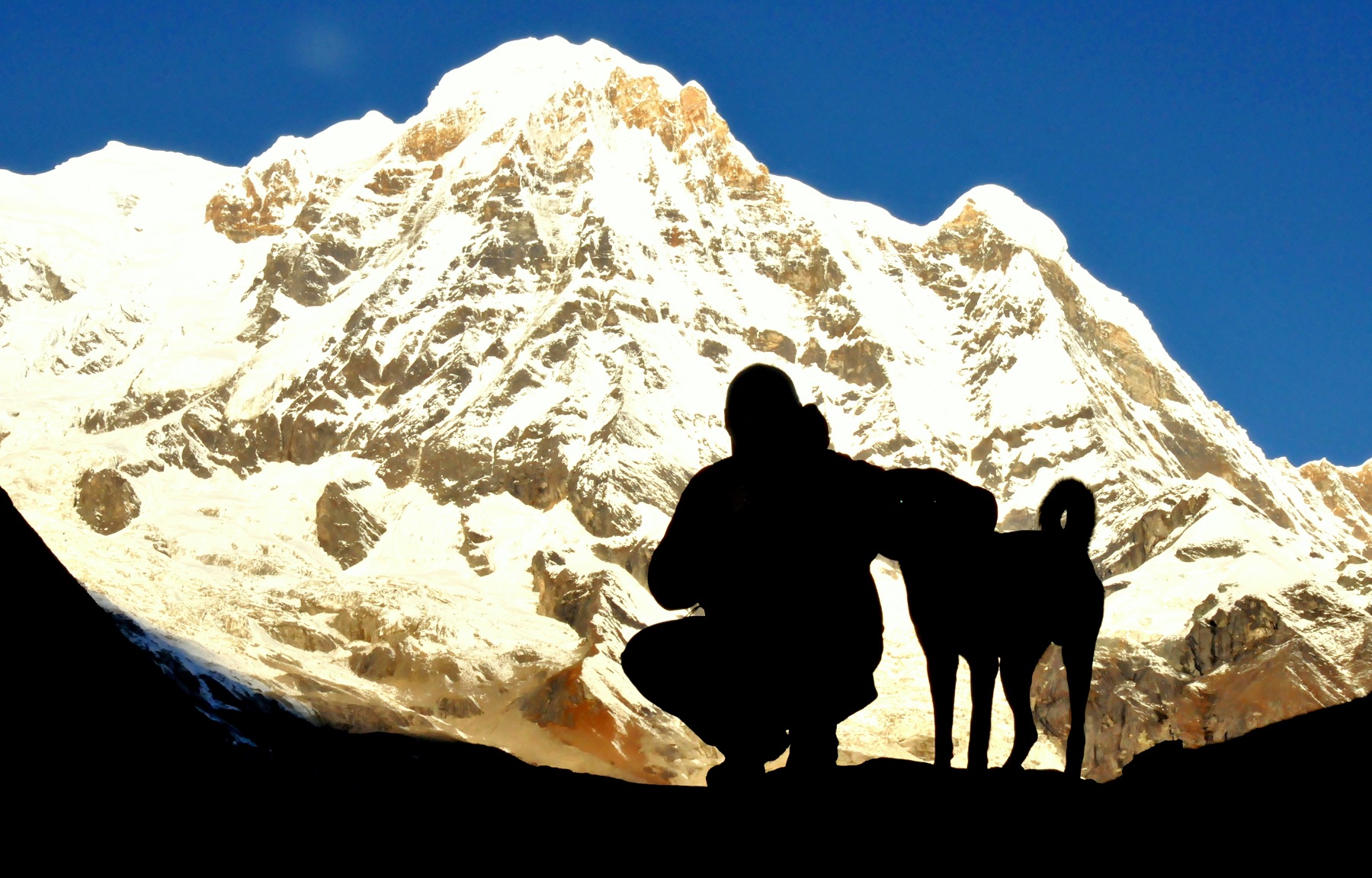 Z psem przez Himalaje – wystawa online