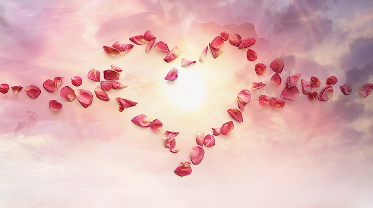 Serce ułożone z płatków róży.