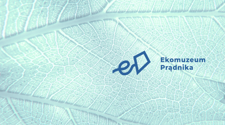 Logotyp z latawcem na tle błękitnego liścia z napisem 