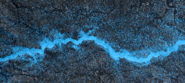 Granatowa powierzchnia przecięta w poziomie błękitną wstęgą przypominającą rzekę z lotu ptaka