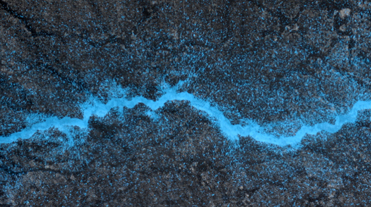 Granatowa powierzchnia przecięta w poziomie błękitną wstęgą przypominającą rzekę z lotu ptaka